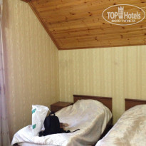 фото из отзыва ID 1335799