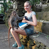 фото из отзыва ID 1335826