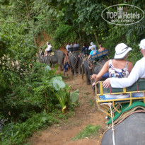 фото из отзыва ID 1335829