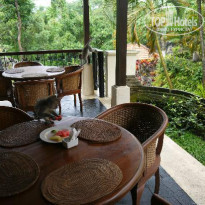 фото из отзыва ID 1335826