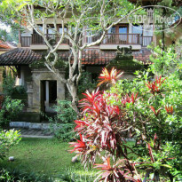 фото из отзыва ID 1335826