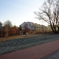 фото из отзыва ID 1335856