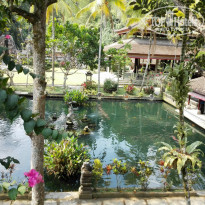 фото из отзыва ID 1335826