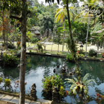 фото из отзыва ID 1335826