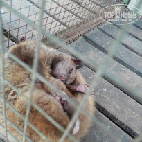 фото из отзыва ID 1335826