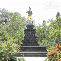 фото из отзыва ID 1335826