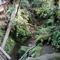 фото из отзыва ID 1335826