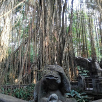 фото из отзыва ID 1335826