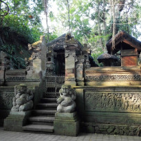 фото из отзыва ID 1335826