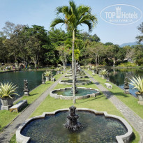 фото из отзыва ID 1335846