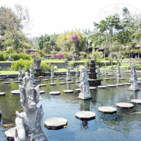 фото из отзыва ID 1335846