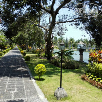 фото из отзыва ID 1335846