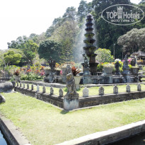 фото из отзыва ID 1335846