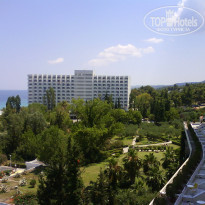 фото из отзыва ID 1335887