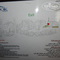 фото из отзыва ID 1335976