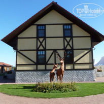 фото из отзыва ID 1336117