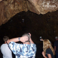 фото из отзыва ID 1336145