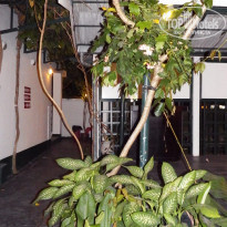 фото из отзыва ID 1336153