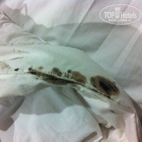 фото из отзыва ID 1336163