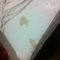 фото из отзыва ID 1336163