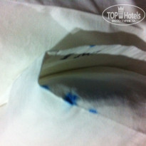 фото из отзыва ID 1336163