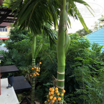 фото из отзыва ID 1336168