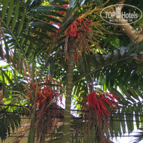 фото из отзыва ID 1336168