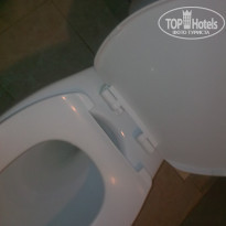 фото из отзыва ID 1336259