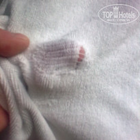 фото из отзыва ID 1336259