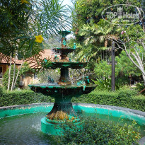 фото из отзыва ID 1336319