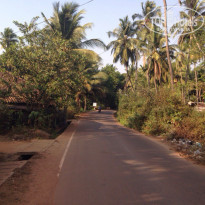 фото из отзыва ID 1336320