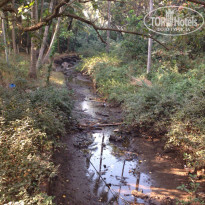 фото из отзыва ID 1336320