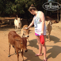 фото из отзыва ID 1336320