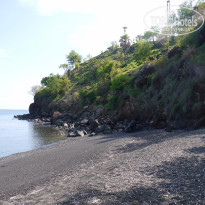 фото из отзыва ID 1336338