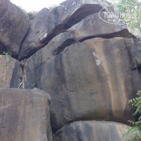 фото из отзыва ID 1336338