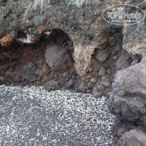 фото из отзыва ID 1336338