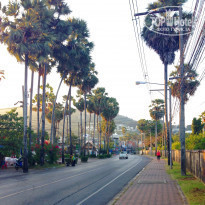 фото из отзыва ID 1336347