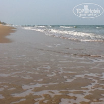 фото из отзыва ID 1336215