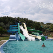 фото из отзыва ID 1336396