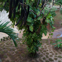 фото из отзыва ID 1336443