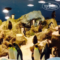 фото из отзыва ID 1336510