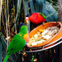 фото из отзыва ID 1336510