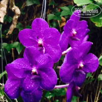 фото из отзыва ID 1336510