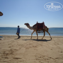 фото из отзыва ID 1336533