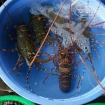 фото из отзыва ID 1336508