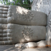 фото из отзыва ID 1336508