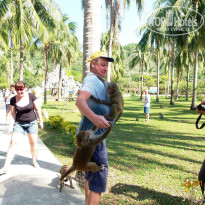 фото из отзыва ID 1336508