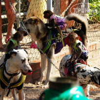 фото из отзыва ID 1336508