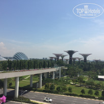 фото из отзыва ID 1336756