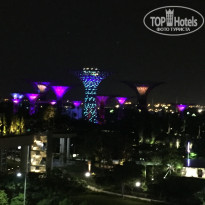 фото из отзыва ID 1336756